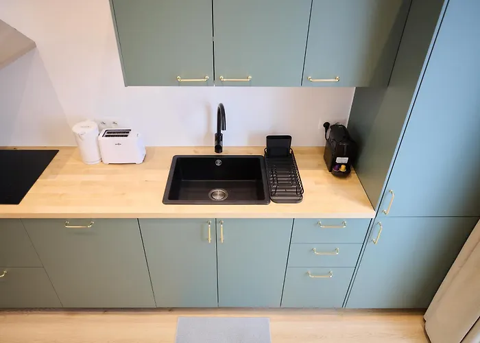 Berthelot 5 Appartement *